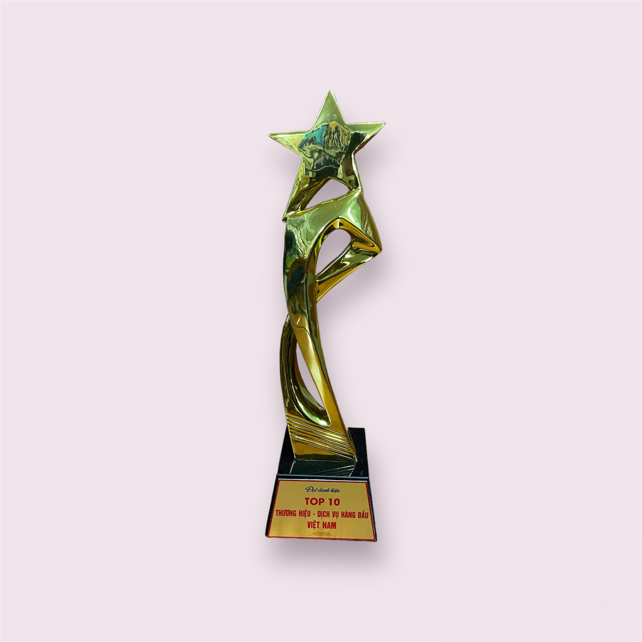 Đạt danh hiệu Top 10 Thương hiệu dịch vụ hàng đầu Việt Nam